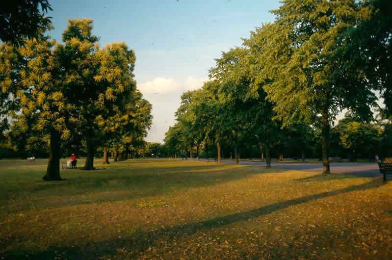 The Royal Observatory