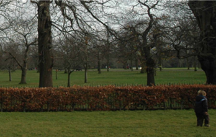 The Royal Observatory